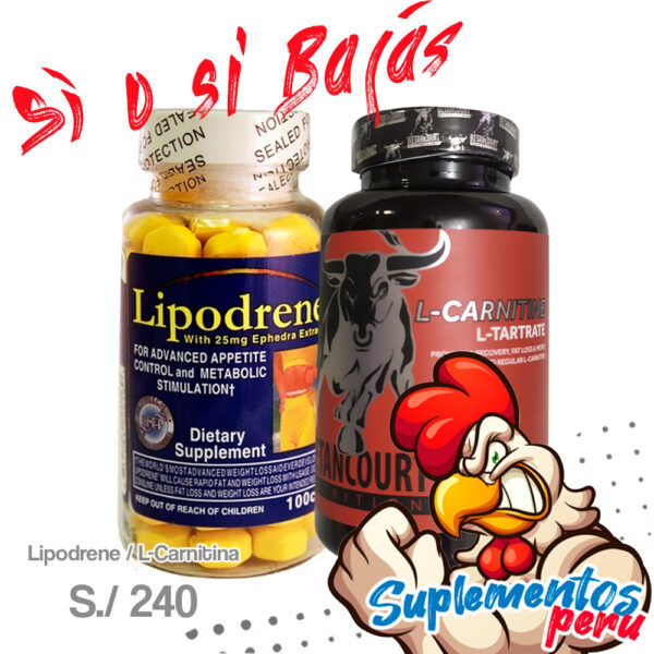 Lipodrene - L Carnitina
